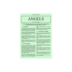 Briefing Paper on Angels