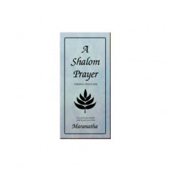 Shalom Prayer in French