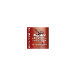 Urgency! - A living faith in a dying culture